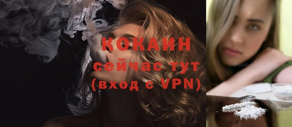 гашик Покровск
