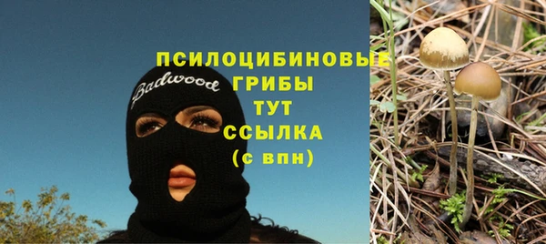 метадон Армянск