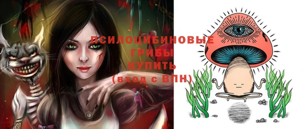 метадон Армянск