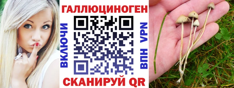 Псилоцибиновые грибы прущие грибы  Куса 